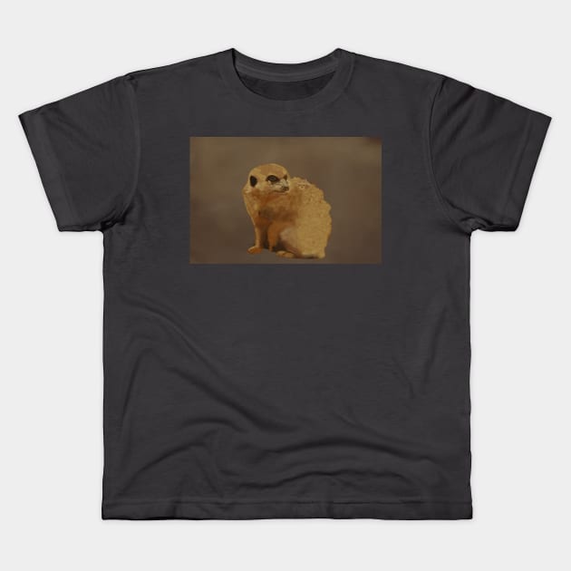 Meerkat Kids T-Shirt by Artimaeus